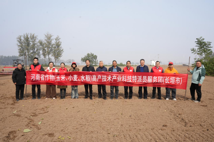 科技特派员技术培训赋能 科学应对小麦晚播
