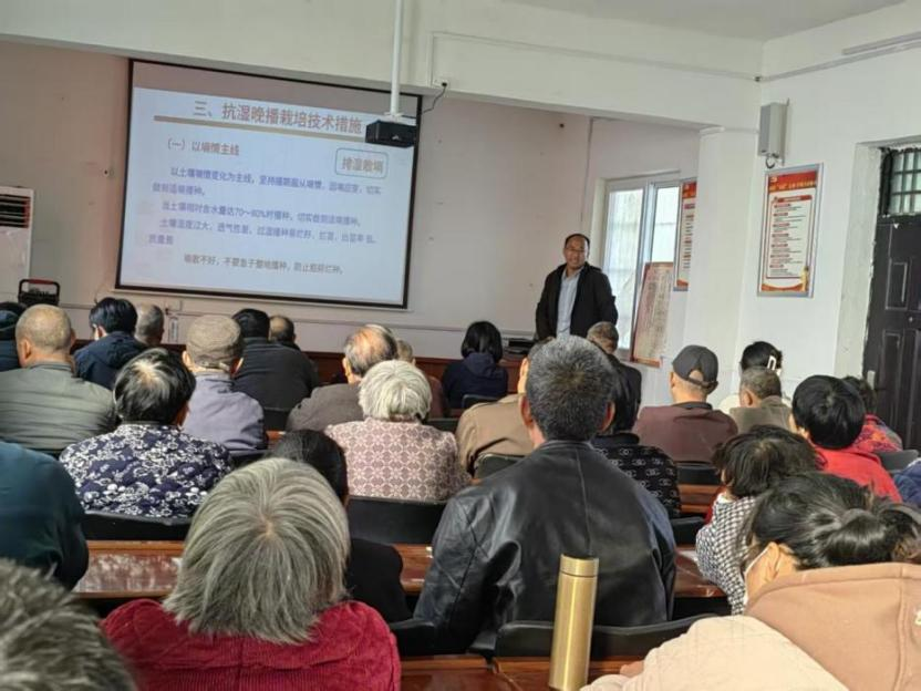 科技特派员技术培训赋能 科学应对小麦晚播