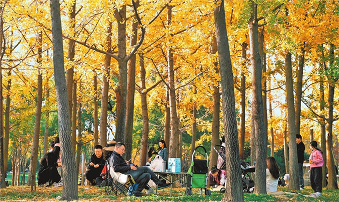 郑州市民在北龙湖湿地公园欣赏秋色