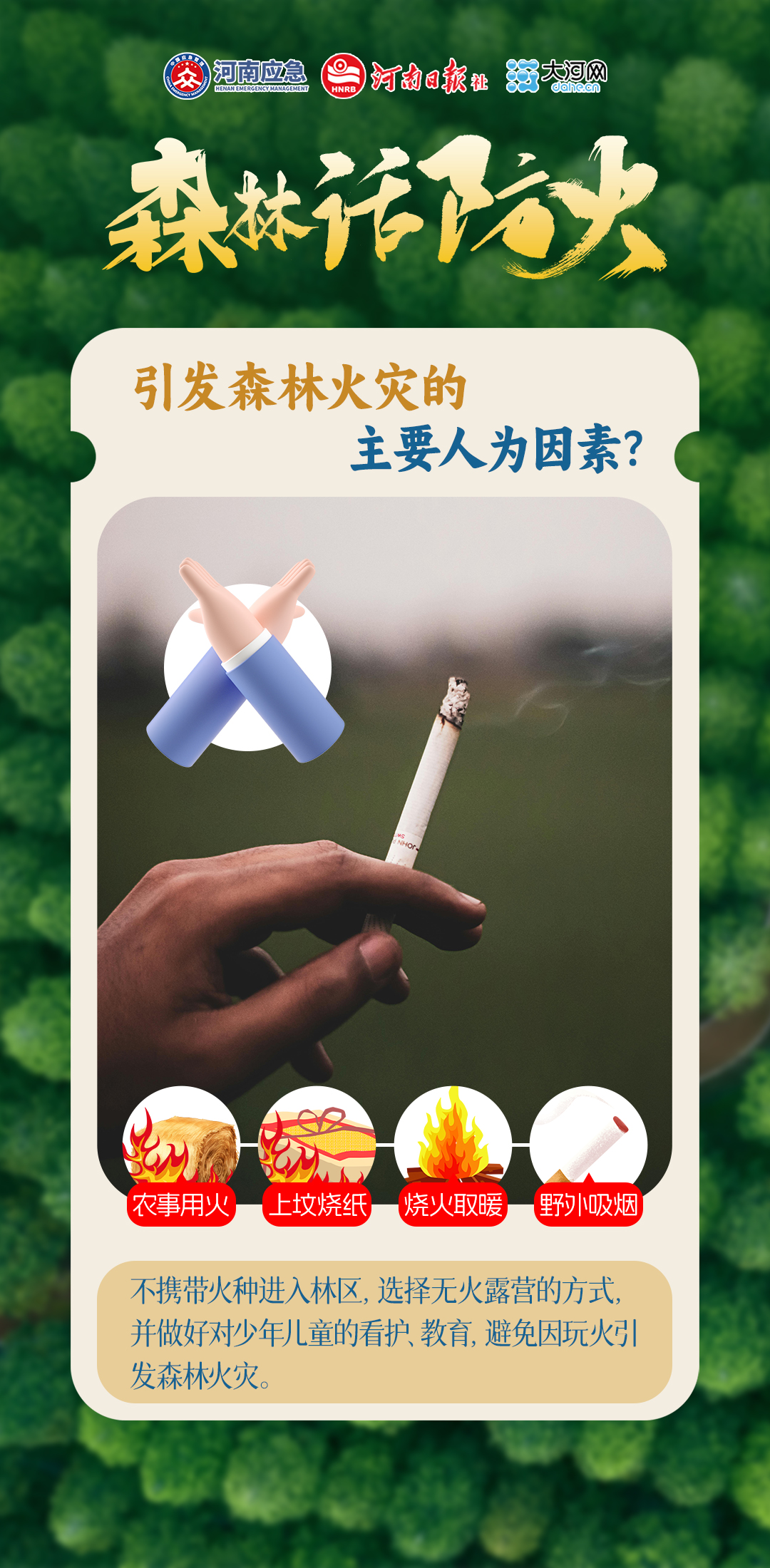 林海如何不“发火”?这份指南请查收!丨森林话防火③