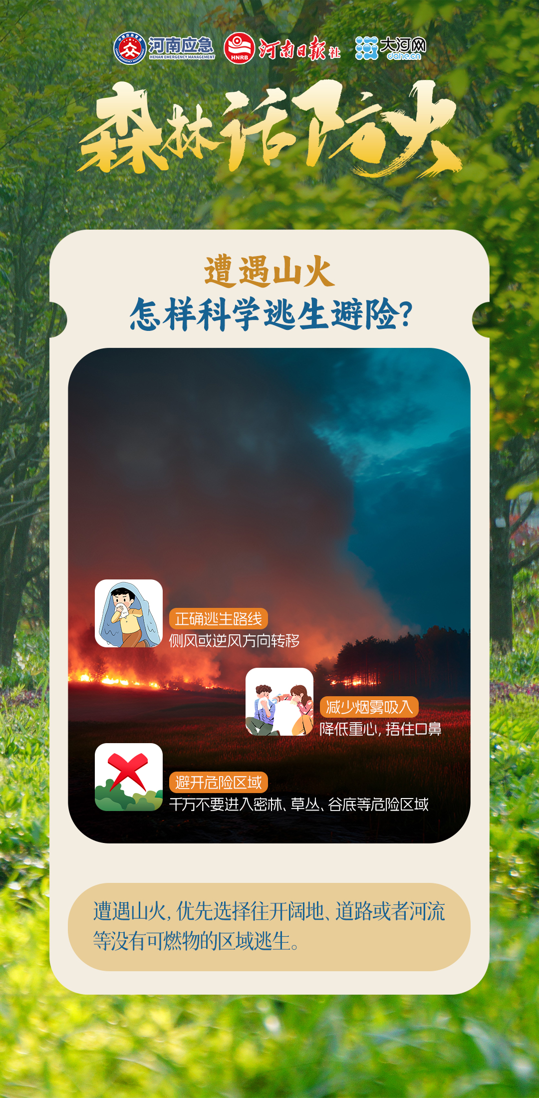 林海如何不“发火”?这份指南请查收!丨森林话防火③