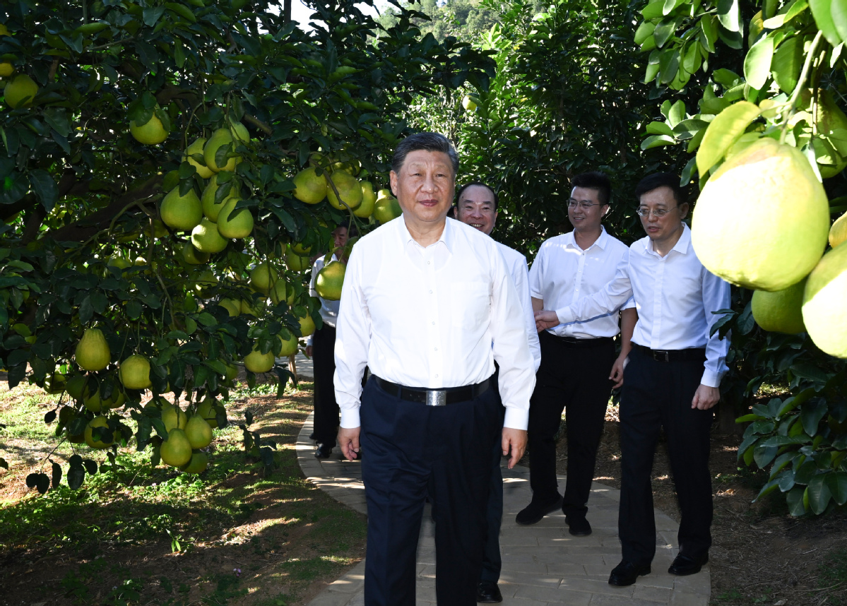 Xi urges deepening reform, opening-up during Guangdong inspection tour Xi urges deepening reform, opening-up during Guangdong inspection tour