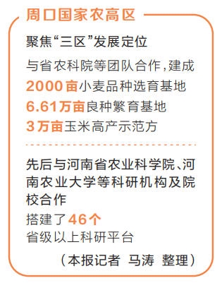 奋战四季度 确保全年红丨农高区小麦“链”成记