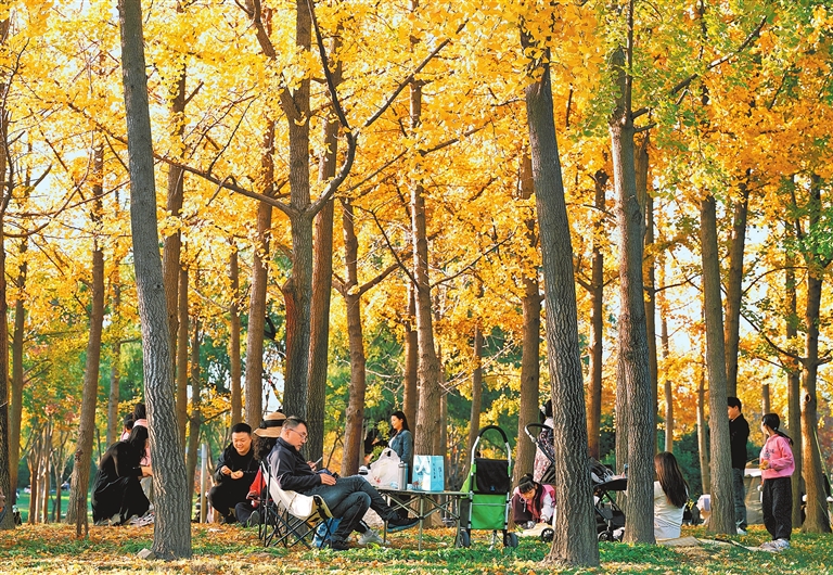 Autumn scenery in Henan