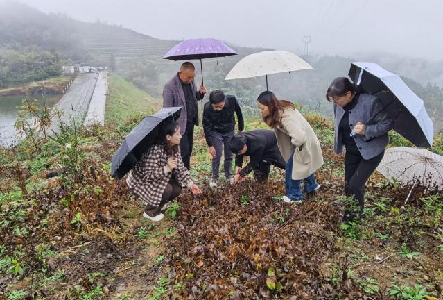 河南科技特派员精准服务赋能产业发展