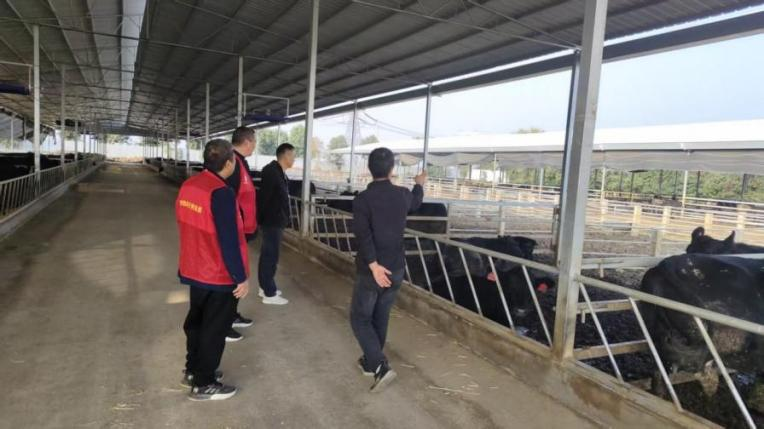 河南科技特派员精准服务赋能产业发展