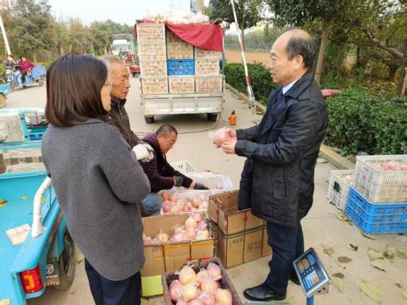 河南科技特派员精准服务赋能产业发展