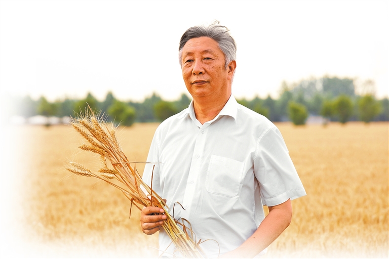 弘扬科学家精神 这才是我们该追的星丨风吹麦浪