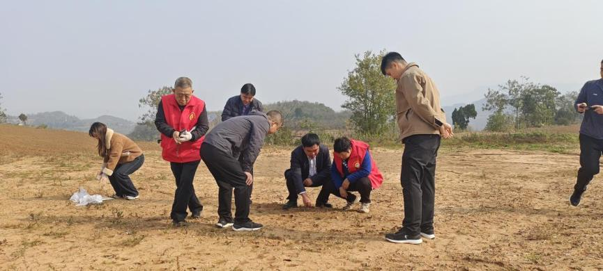 河南科技特派员精准服务赋能产业发展