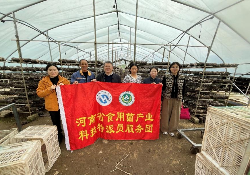 河南科技特派员精准服务赋能产业发展