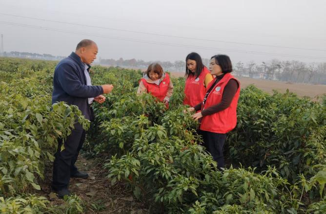 河南科技特派员精准服务赋能产业发展