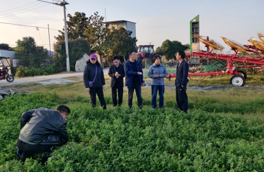 省畜牧总站组织开展高产优质苜蓿示范建设项目调研与技术指导