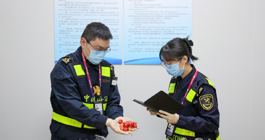 New record! Zhengzhou Airport Port sees single-day fresh imports exceed 180 tons