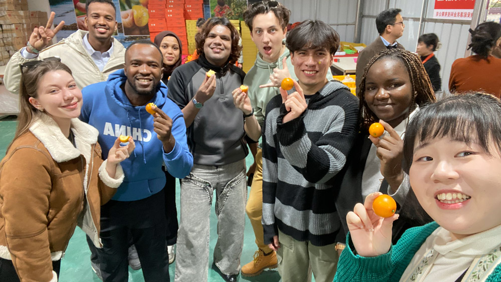 China's rural revitalization offers lessons for Africa's socioeconomic development