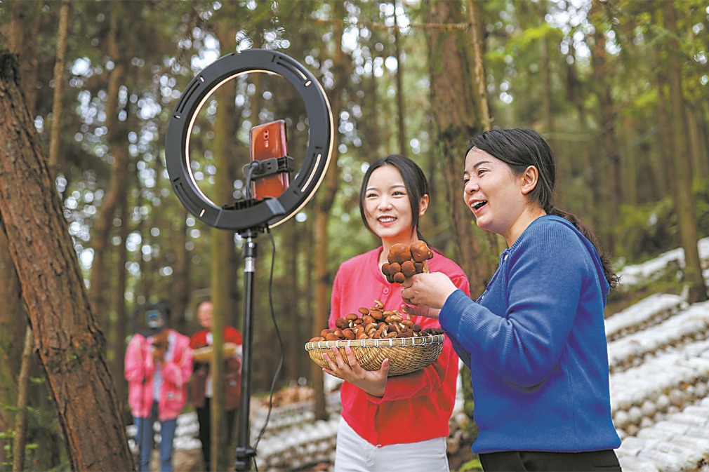 The development of the under-forest economy in China