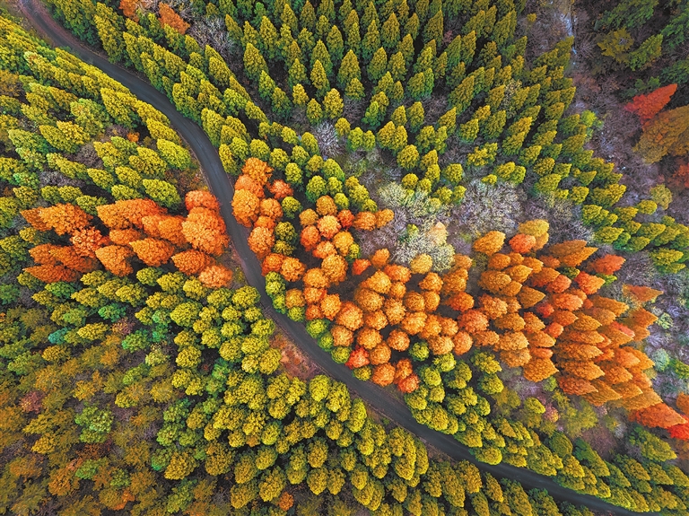 Fabulous scenery in Shangcheng