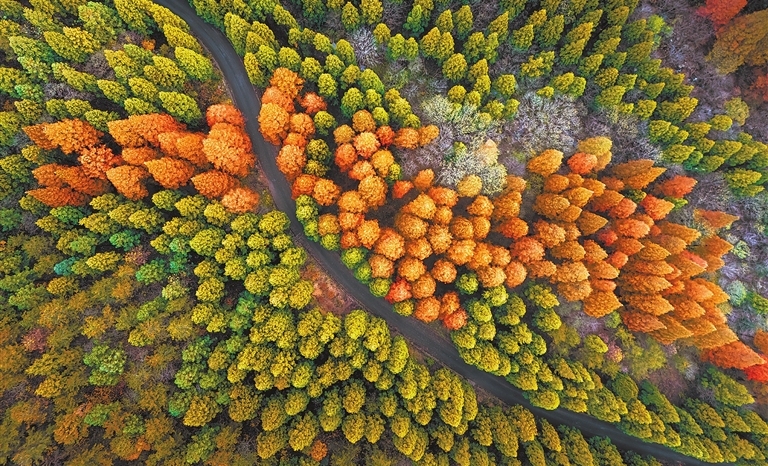 Fabulous scenery in Shangcheng