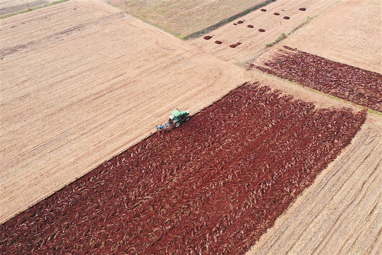 Bustling winter scenes in the fields Bustling winter scenes in the fields