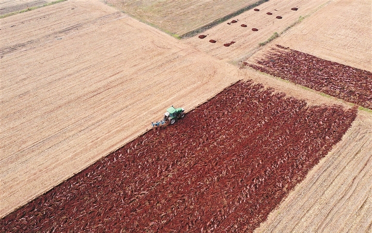 Bustling winter scenes in the fields