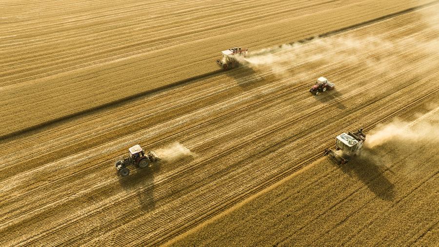 Henan releases annual wheat report: Over 99% rated Grade III or above