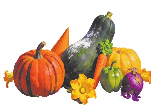 “一县一业联一所”模式赋能河南农业强省战略—— 国家级“农科天团”扎根安阳为哪般？