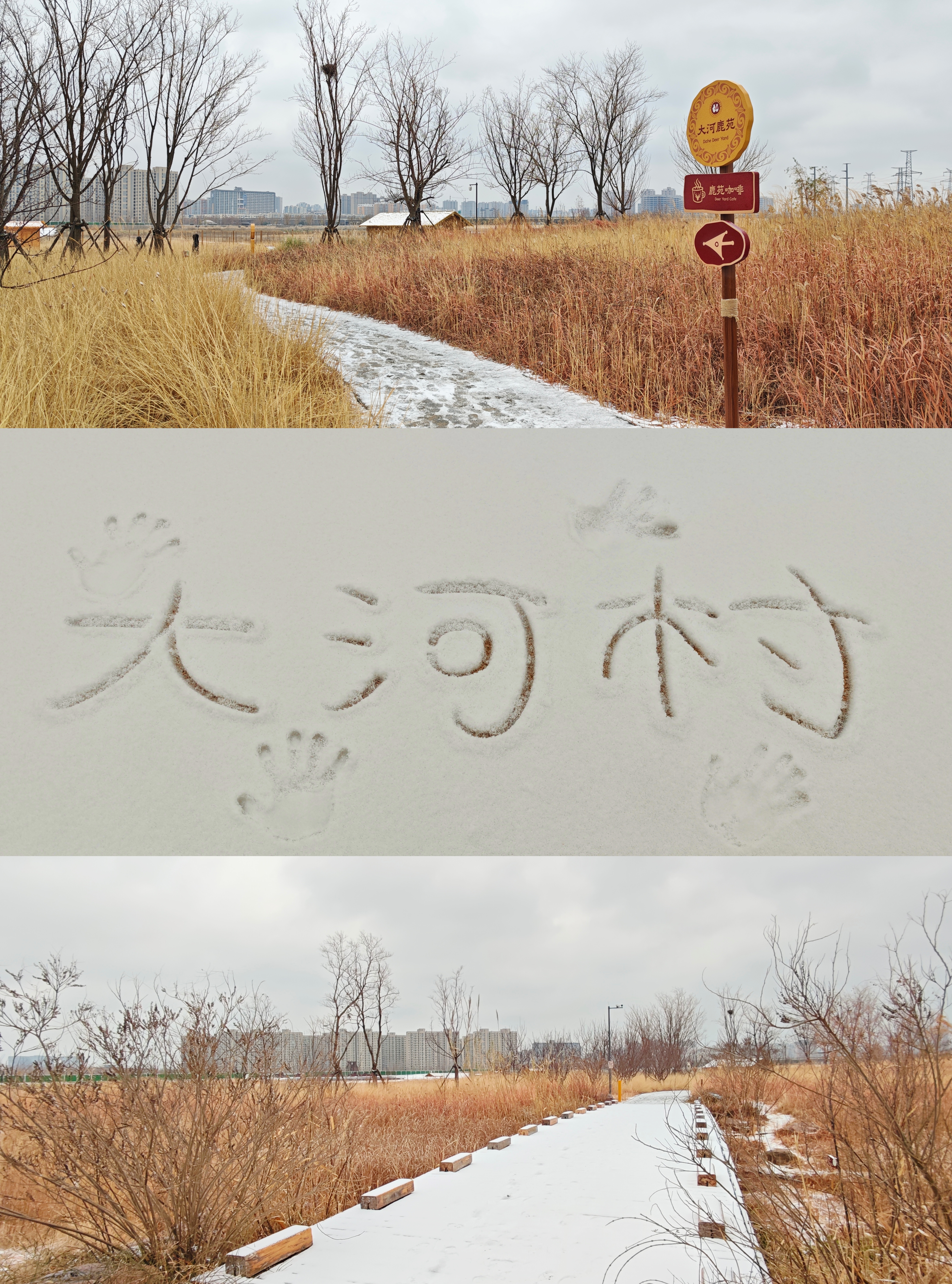 Zhengzhou welcomes its first snow