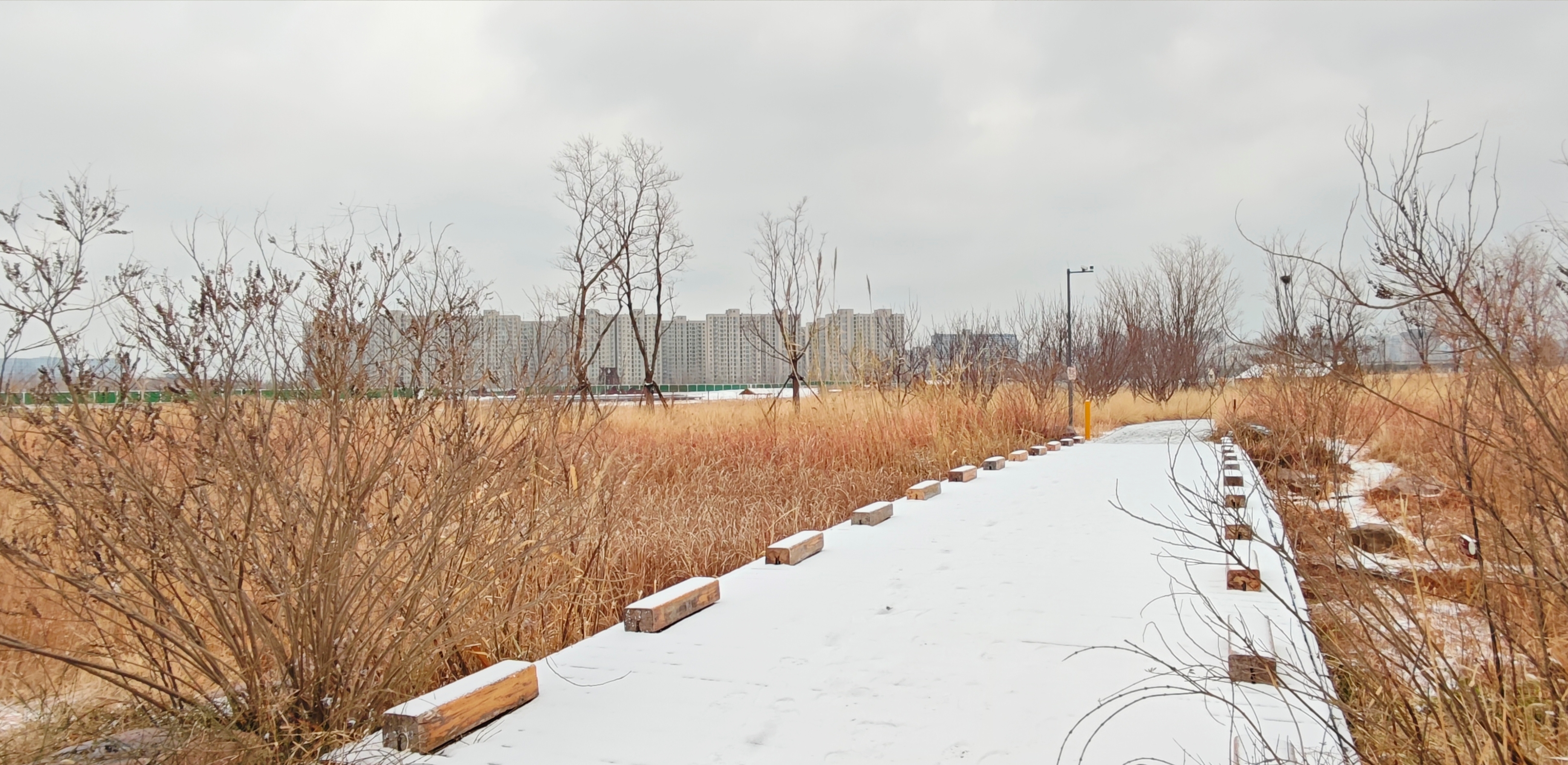 Zhengzhou welcomes its first snow