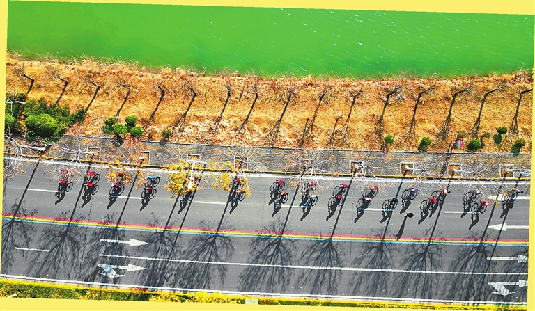 Cycling team under the winter sun