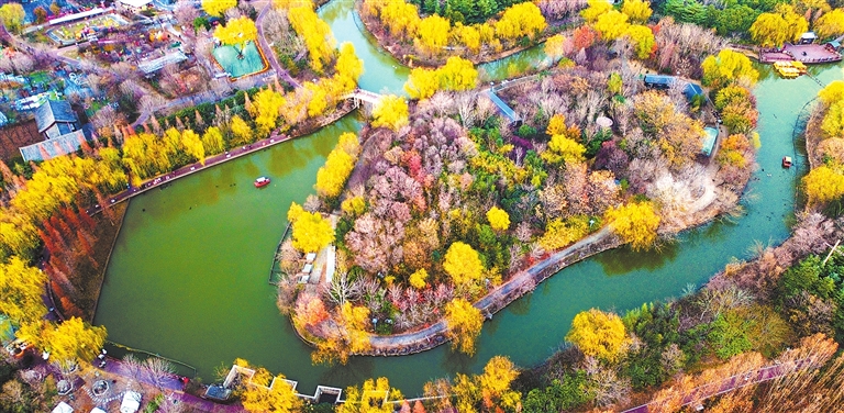 Residents enjoy winter scenery in Luoyang