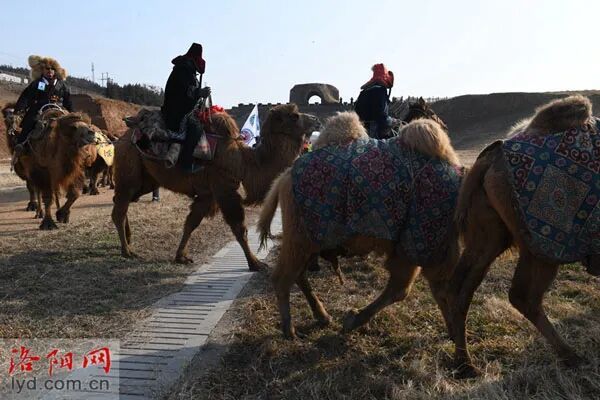 3000公里136天!丝路雄关再响驼铃声 3000公里136天!丝路雄关再响驼铃声