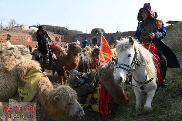 3000公里136天!丝路雄关再响驼铃声 3000公里136天!丝路雄关再响驼铃声