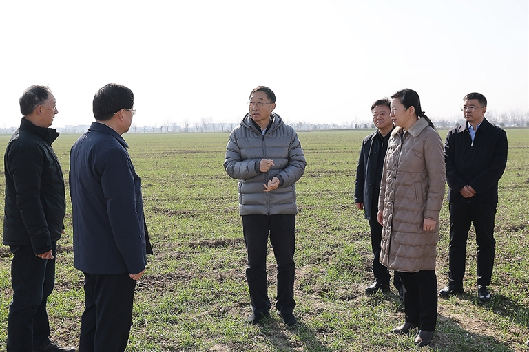 刘宁到信阳息县调研推动工作时强调： 着力抓好小麦田管促苗情转化升级 发挥优势努力把农业建成现代化大产业