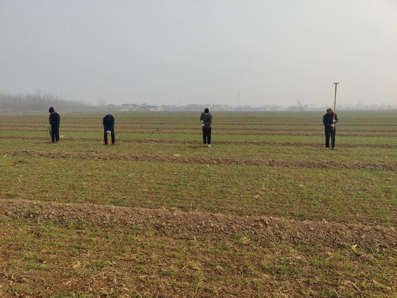 4059218743293911 4059218743293911