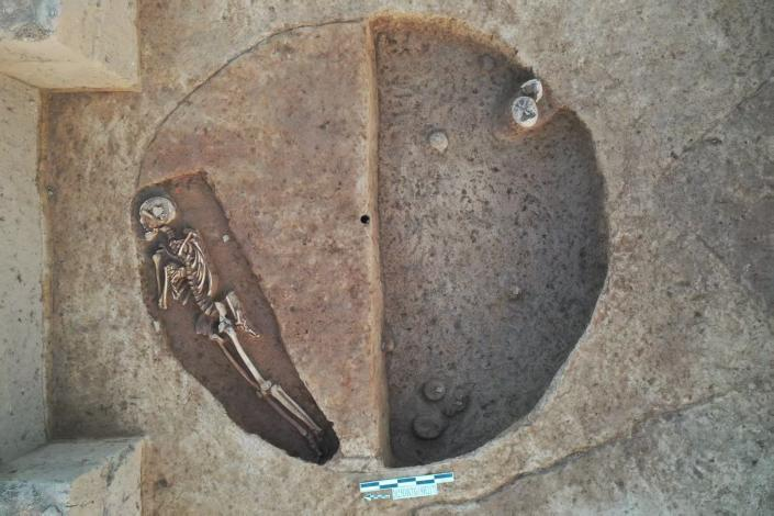 7680949004487211 7680949004487211