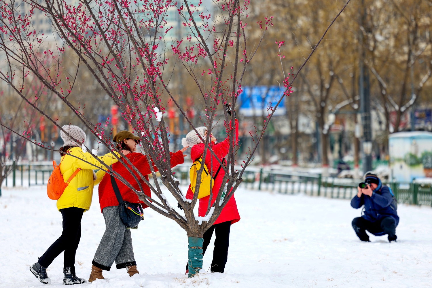 Shang Capital Site shines after snowfall