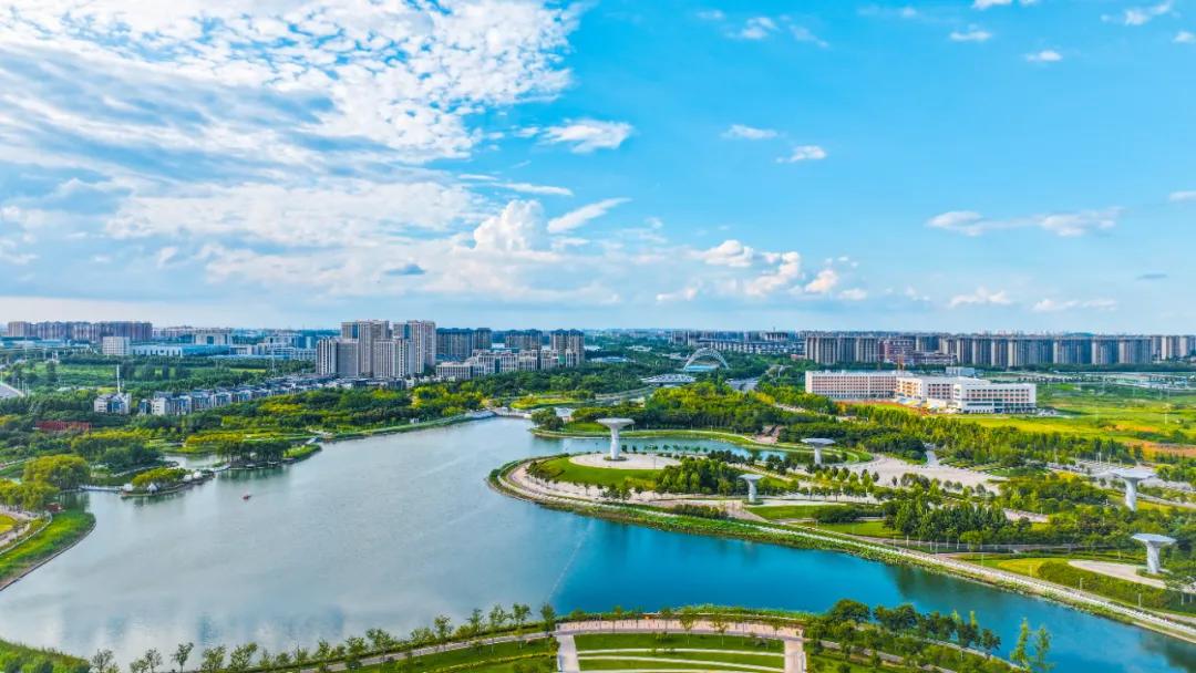 Hand-drawn scroll | Capturing the charm of ZAEZ