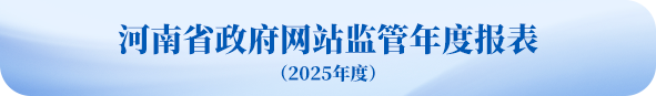 河南省2025年政府网站监管年度报表