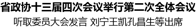 省政协十三届四次会议举行第二次全体会议