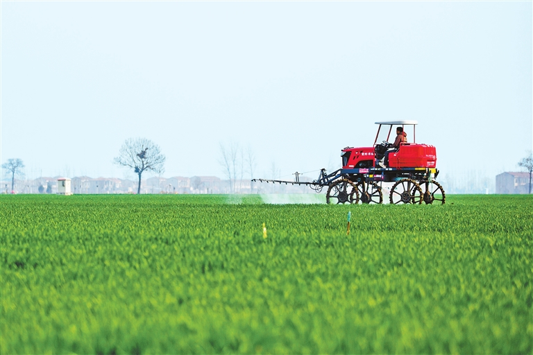 商丘市睢县：智护麦田