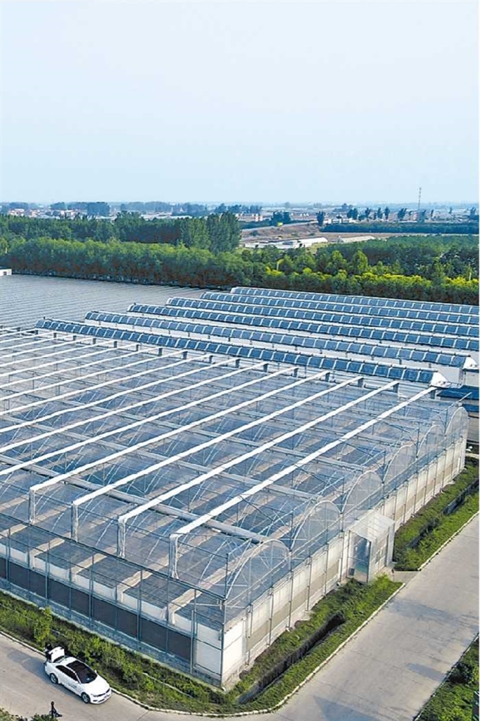 全国两会AB面丨 全国人大代表孙中岭： 看孙庄村的蝶变之路