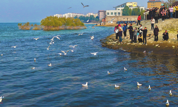 Feathered haven springs to life as nature's hidden gem