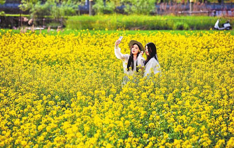 Henan records over 21.32 million visits during 2026 Qingming holiday