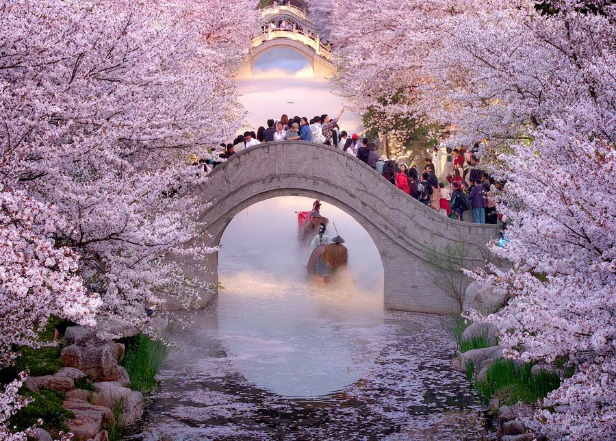 Vibrant spring drives expansion in China's cultural, tourism market