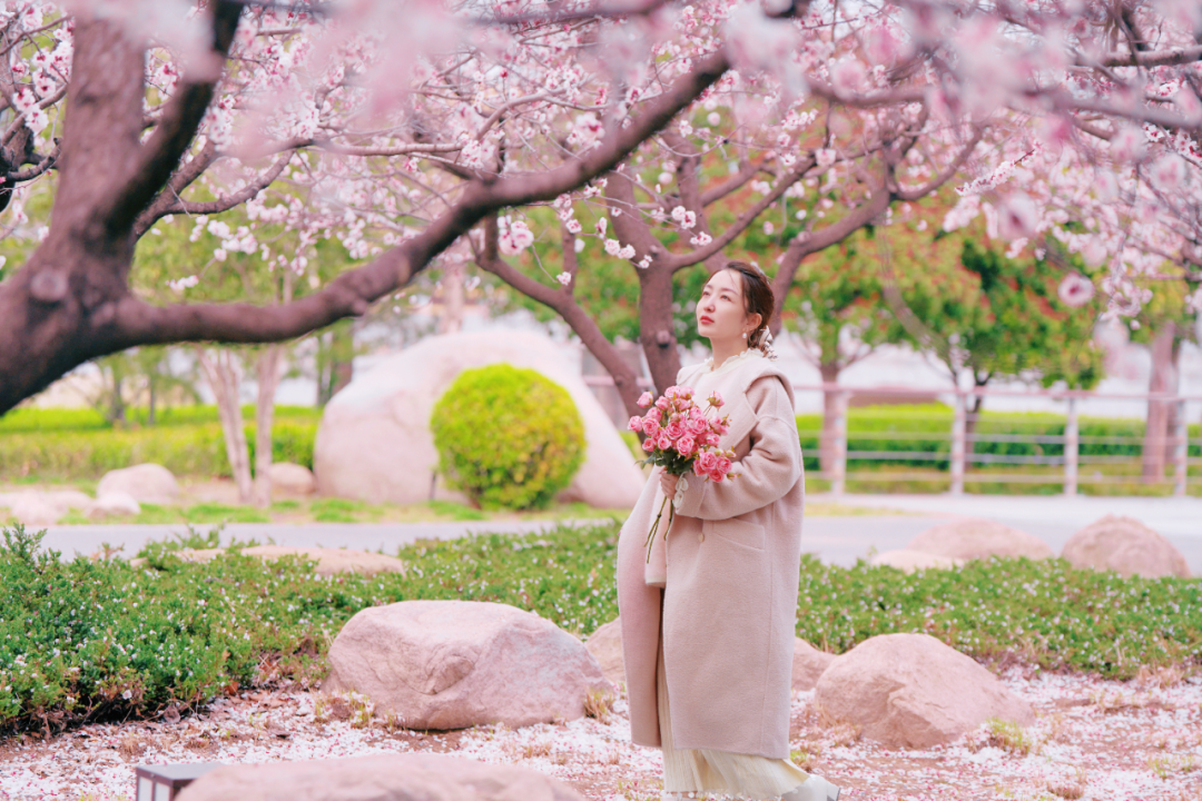 7030187516877966 1774229547117733.png