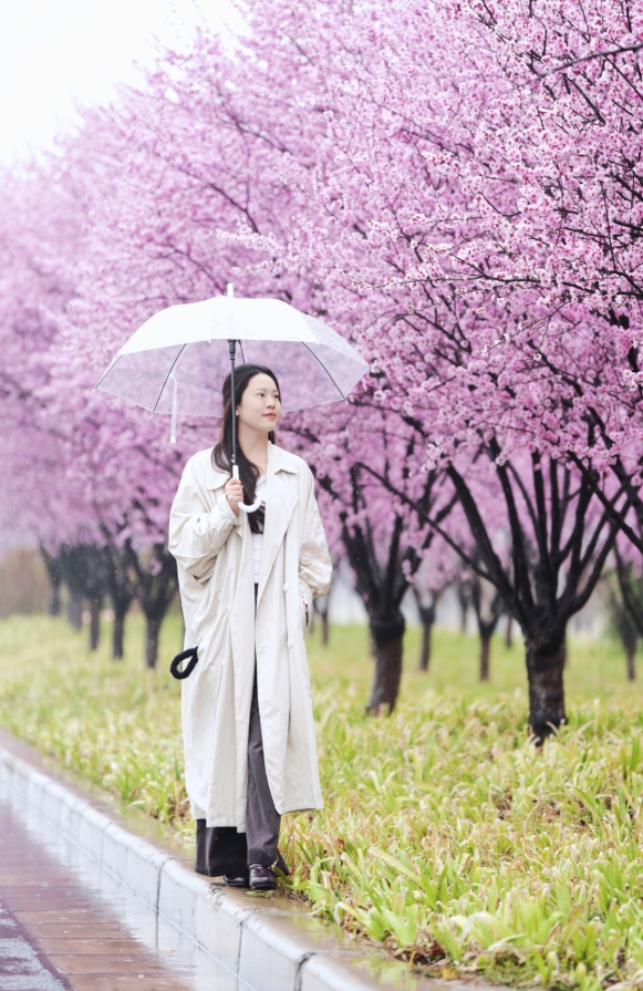 32613119147954385 微信截图_20260407160950.png