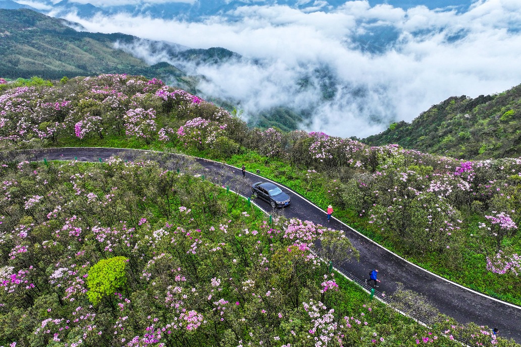 Harmonious growth model nurtured