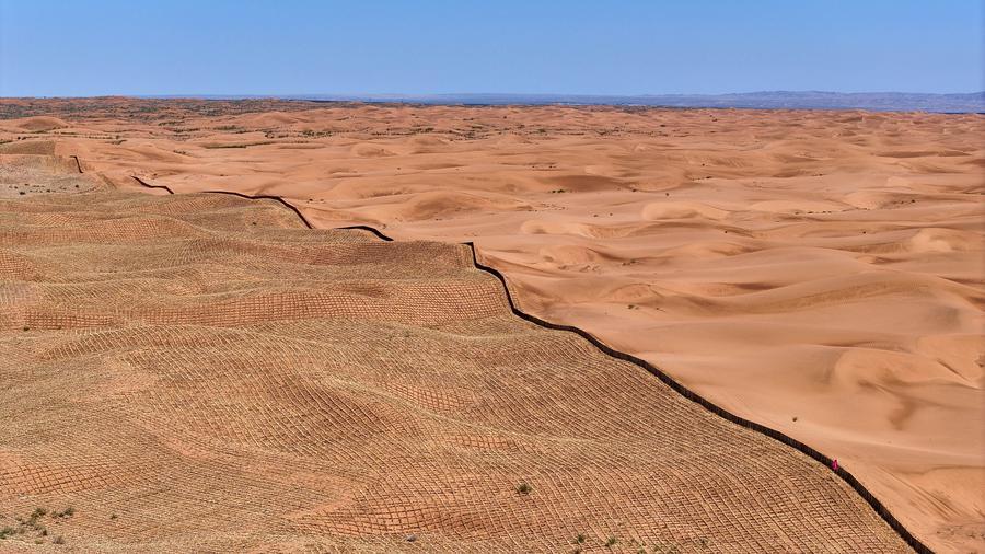 China makes major strides in fight against desertification, shares lessons with world