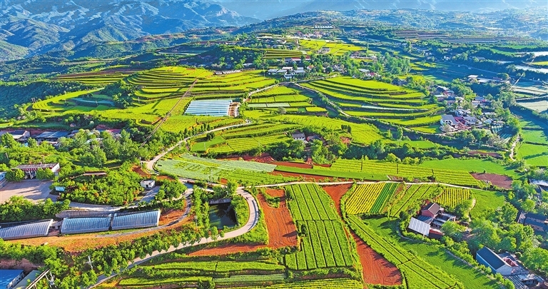 济源市千亩蔬菜育种基地