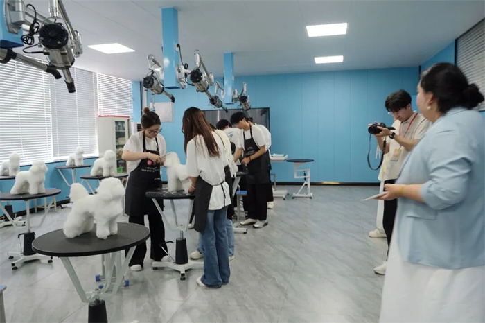 省教育厅组织开展2026年职教活动周集中采访