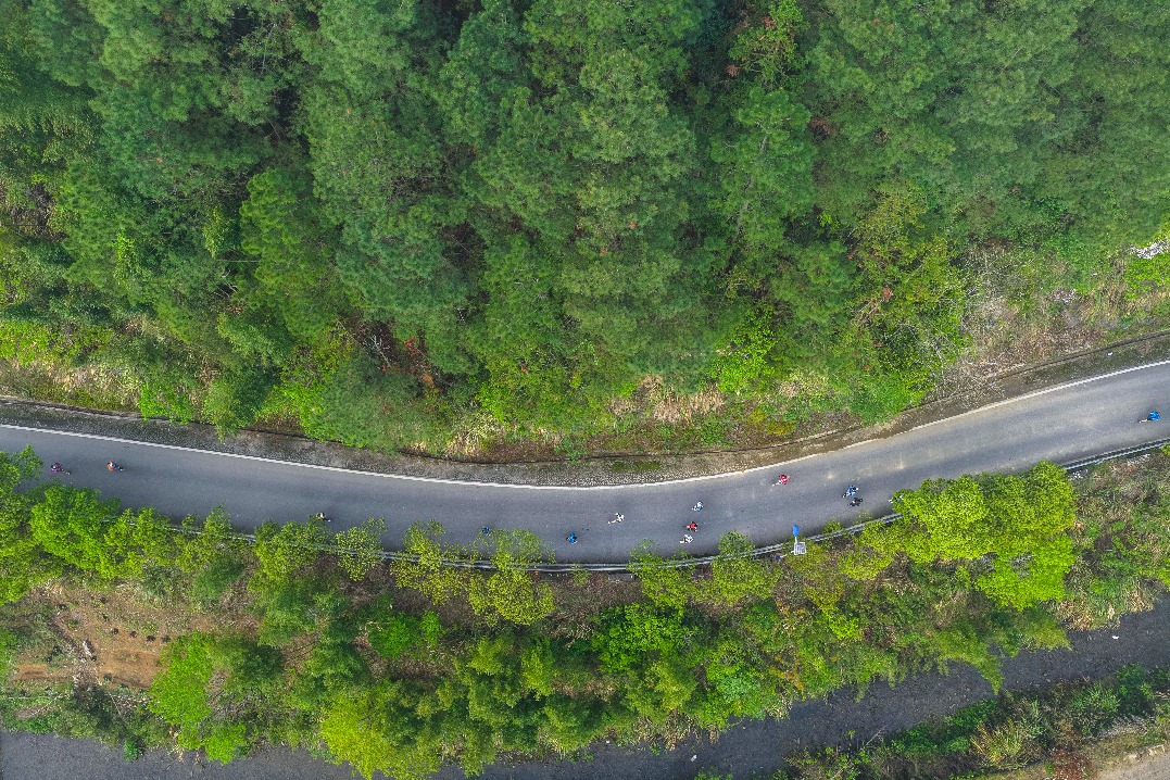 China's ecological governance experience offers lessons for Africa